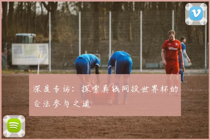 深度专访：探索真钱网投世界杯的合法参与之道