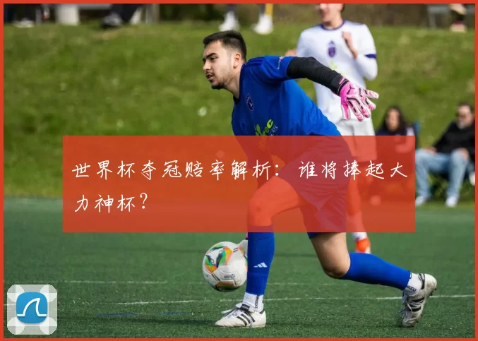 世界杯夺冠赔率解析:谁将捧起大力神杯?