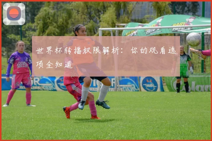 世界杯转播权限解析：你的观看选项全知道