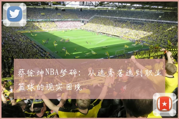 蔡徐坤NBA梦碎：从选秀落选到职业篮球的现实困境