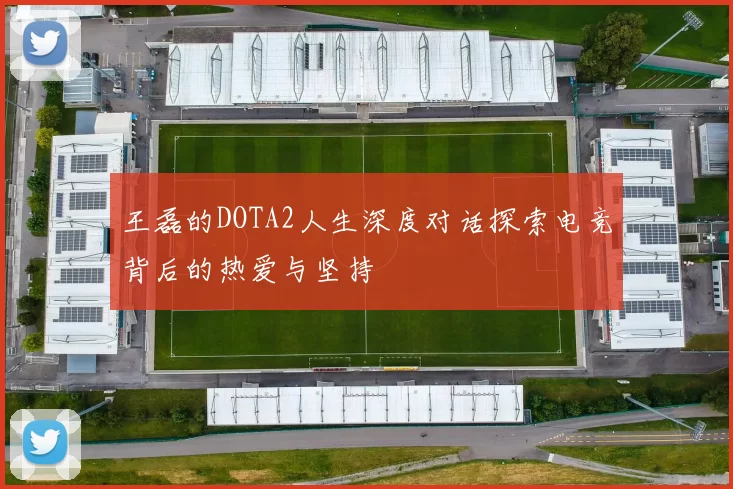 王磊的DOTA2人生深度对话探索电竞背后的热爱与坚持