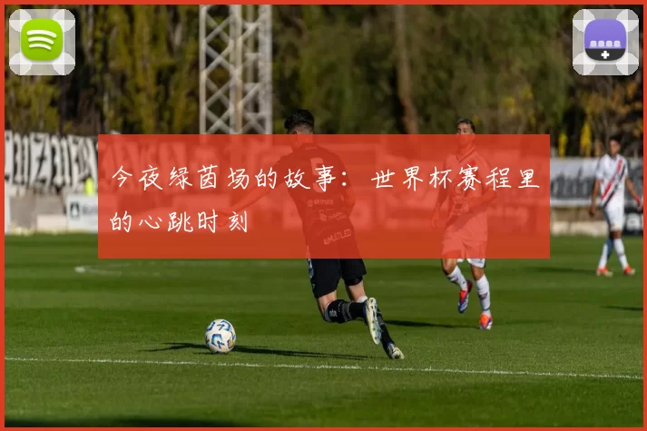 今夜绿茵场的故事：世界杯赛程里的心跳时刻