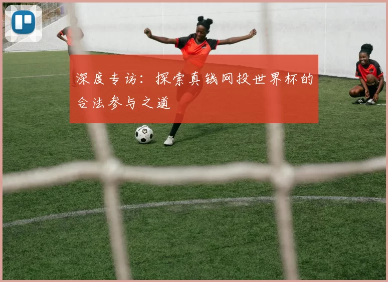 深度专访：探索真钱网投世界杯的合法参与之道