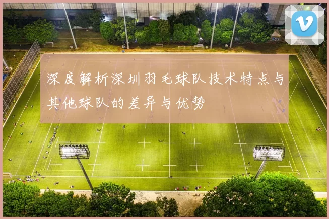 深度解析深圳羽毛球队技术特点与其他球队的差异与优势