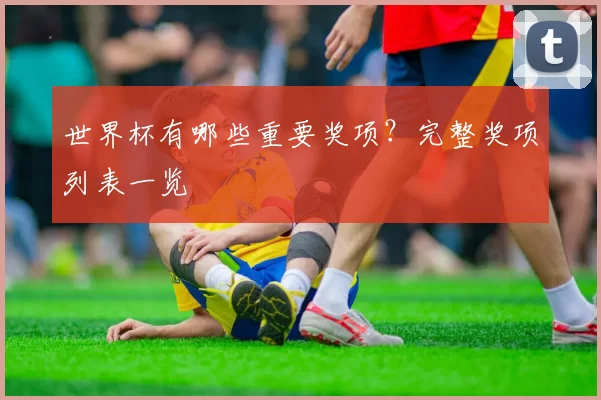 世界杯有哪些重要奖项？完整奖项列表一览