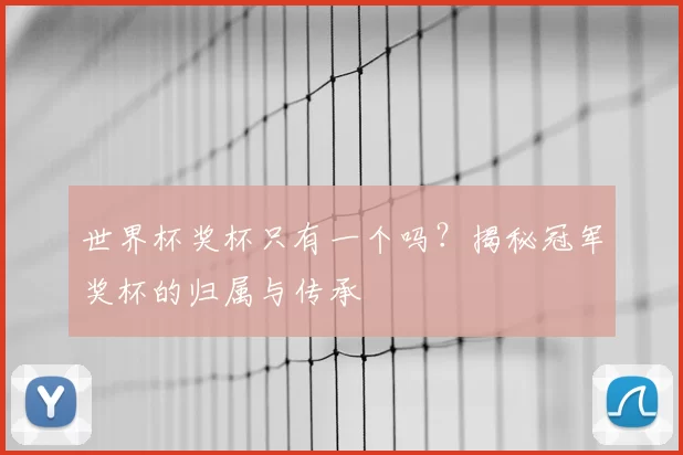 世界杯奖杯只有一个吗?揭秘冠军奖杯的归属与传承