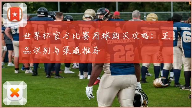 世界杯官方比赛用球购买攻略：正品识别与渠道推荐