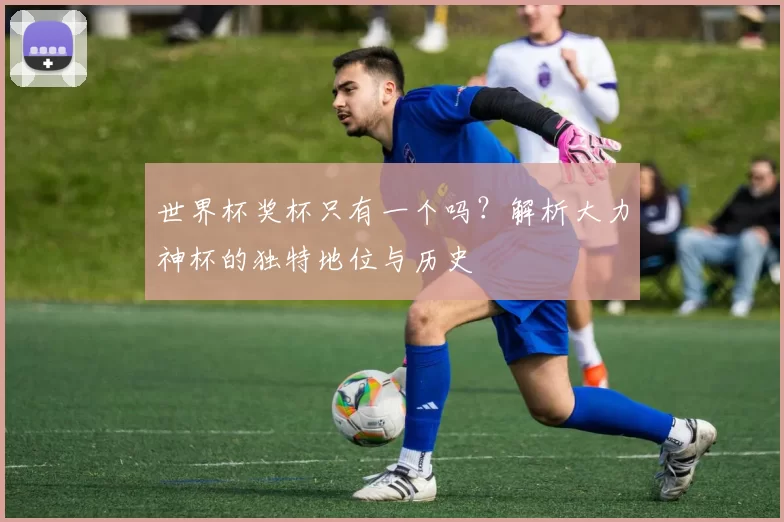 世界杯奖杯只有一个吗？解析大力神杯的独特地位与历史