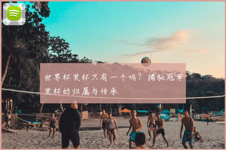 世界杯奖杯只有一个吗？揭秘冠军奖杯的归属与传承