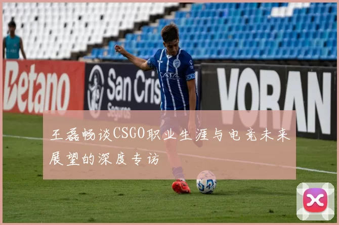 王磊畅谈CSGO职业生涯与电竞未来展望的深度专访