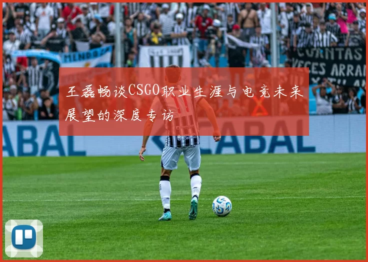 王磊畅谈CSGO职业生涯与电竞未来展望的深度专访